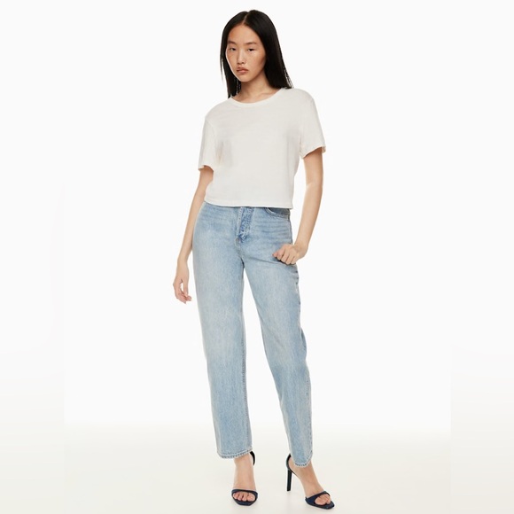 Aritzia Denim Forum The Joni High Rise Loose Jean - Picture 1 of 12
